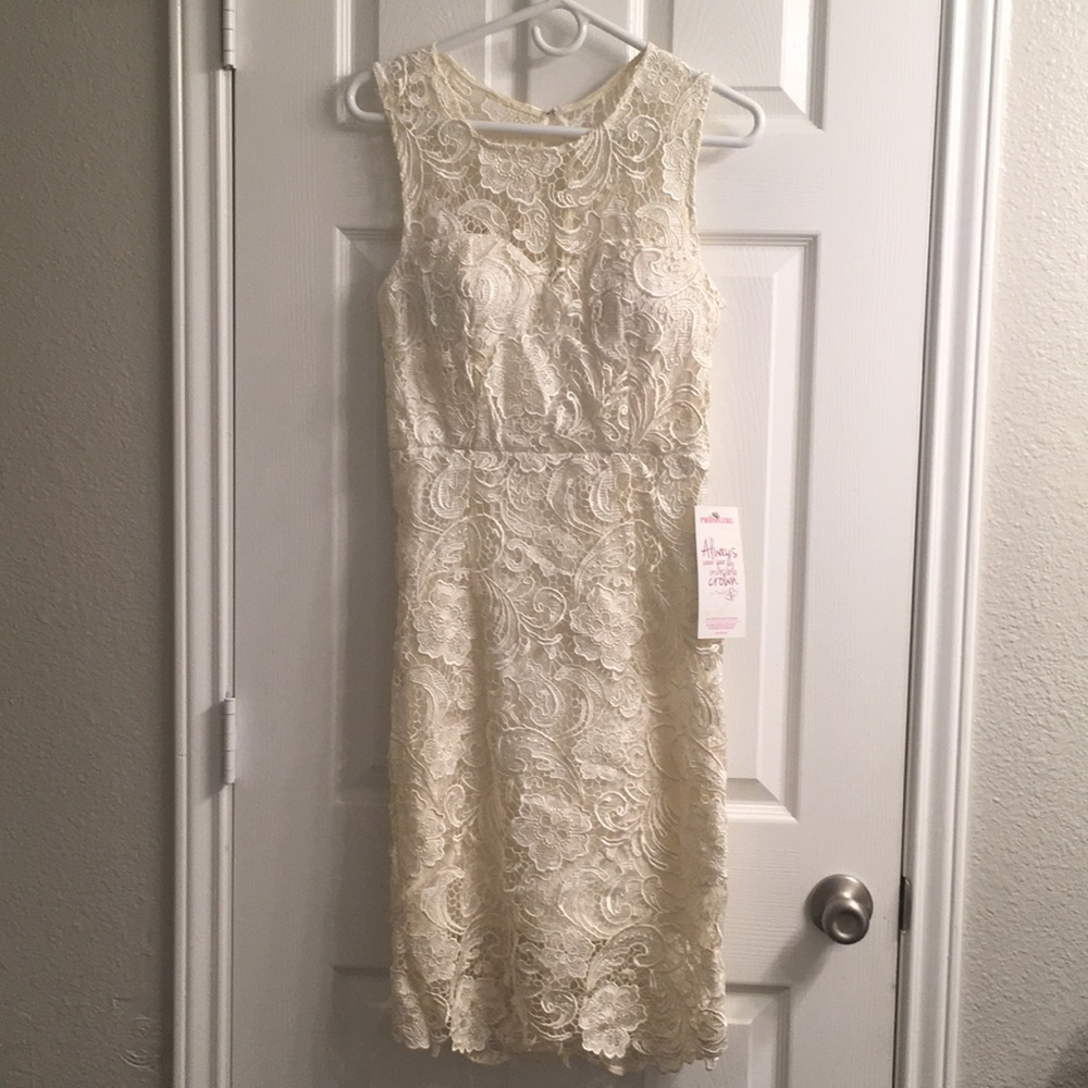NWT - Lace Wedding/Cocktail Dress